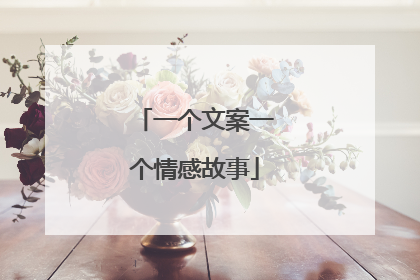 一个文案一个情感故事