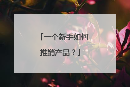 一个新手如何推销产品？