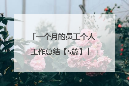 一个月的员工个人工作总结【5篇】