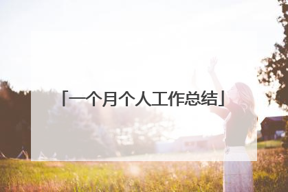一个月个人工作总结