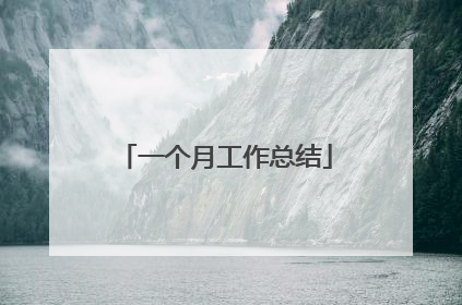 一个月工作总结
