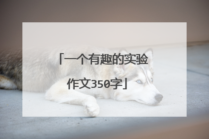 一个有趣的实验作文350字