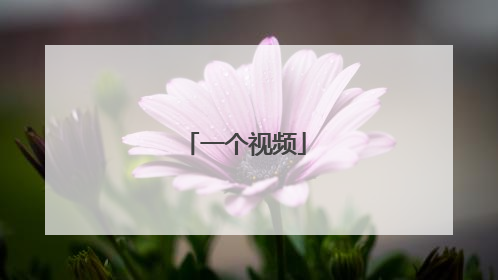 一个视频