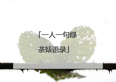 一人一句绿茶婊语录