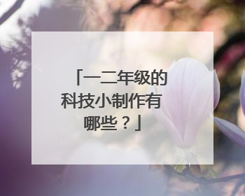 一二年级的科技小制作有哪些?