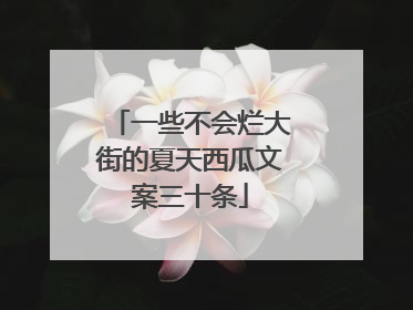 一些不会烂大街的夏天西瓜文案三十条