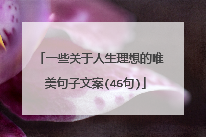 一些关于人生理想的唯美句子文案(46句)