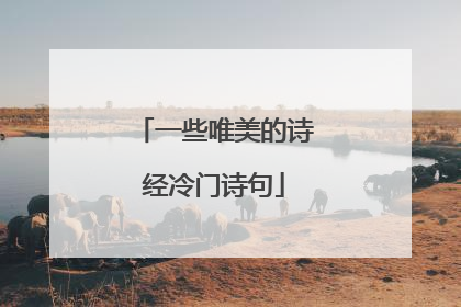 一些唯美的诗经冷门诗句