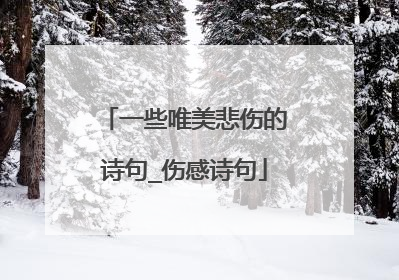 一些唯美悲伤的诗句_伤感诗句