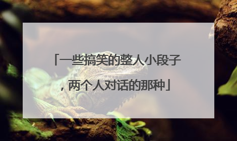 一些搞笑的整人小段子,两个人对话的那种