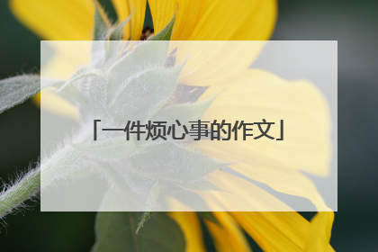 一件烦心事的作文