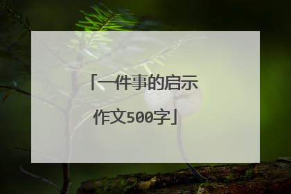 一件事的启示作文500字