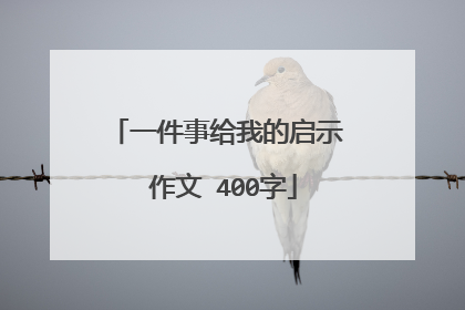 一件事给我的启示 作文 400字
