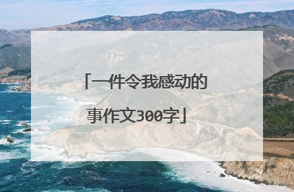 一件令我感动的事作文300字