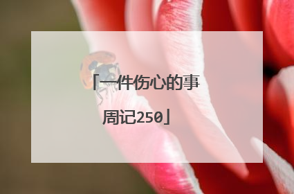 一件伤心的事周记250