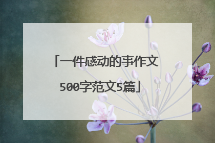 一件感动的事作文500字范文5篇