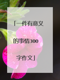 一件有意义的事情300字作文