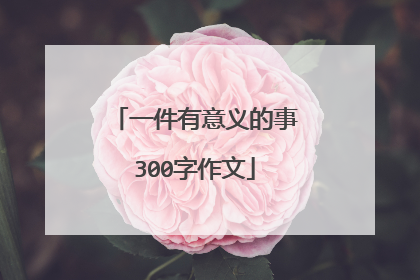 一件有意义的事300字作文