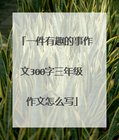 一件有趣的事作文300字三年级作文怎么写