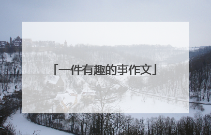 一件有趣的事作文