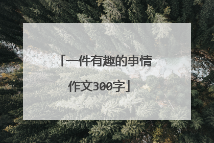 一件有趣的事情作文300字
