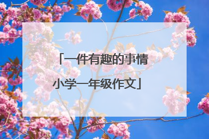 一件有趣的事情小学一年级作文