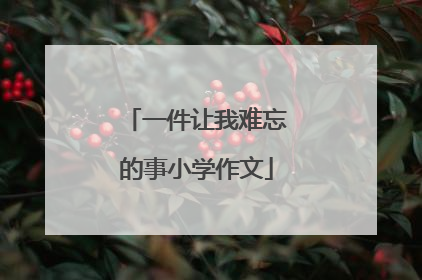 一件让我难忘的事小学作文