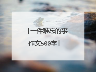 一件难忘的事作文500字