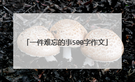 一件难忘的事500字作文