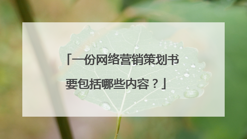 一份网络营销策划书要包括哪些内容？