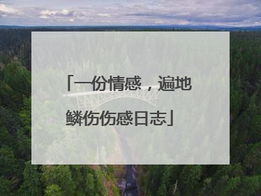 一份情感，遍地鳞伤伤感日志