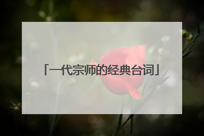 一代宗师的经典台词