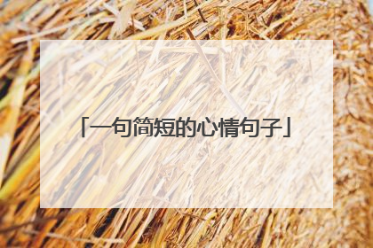一句简短的心情句子