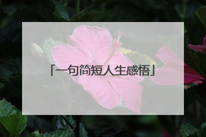 一句简短人生感悟