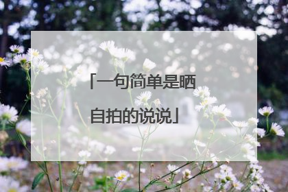 一句简单是晒自拍的说说