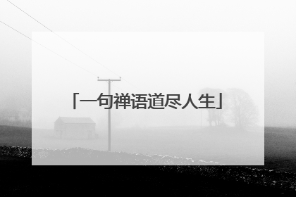 一句禅语道尽人生