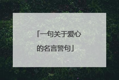 一句关于爱心的名言警句