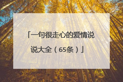 一句很走心的爱情说说大全（65条）