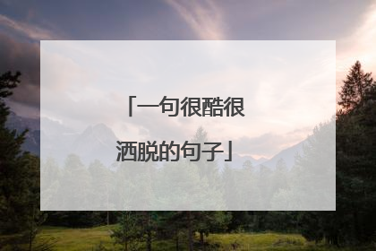 一句很酷很洒脱的句子