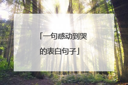 一句感动到哭的表白句子