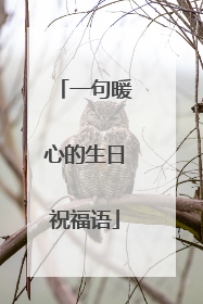 一句暖心的生日祝福语