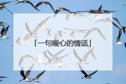 一句暖心的情话