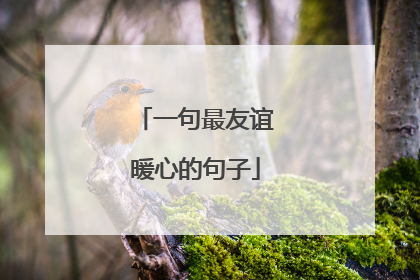 一句最友谊暖心的句子