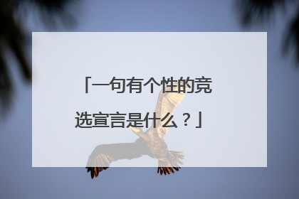 一句有个性的竞选宣言是什么?