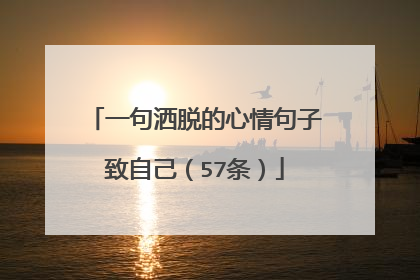 一句洒脱的心情句子致自己（57条）
