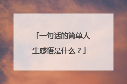 一句话的简单人生感悟是什么？