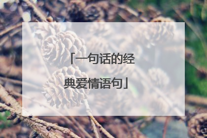 一句话的经典爱情语句
