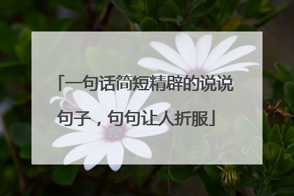 一句话简短精辟的说说句子,句句让人折服