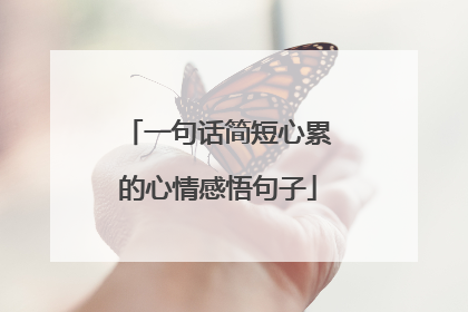 一句话简短心累的心情感悟句子