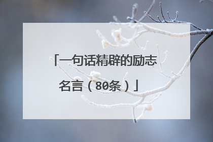 一句话精辟的励志名言(80条)